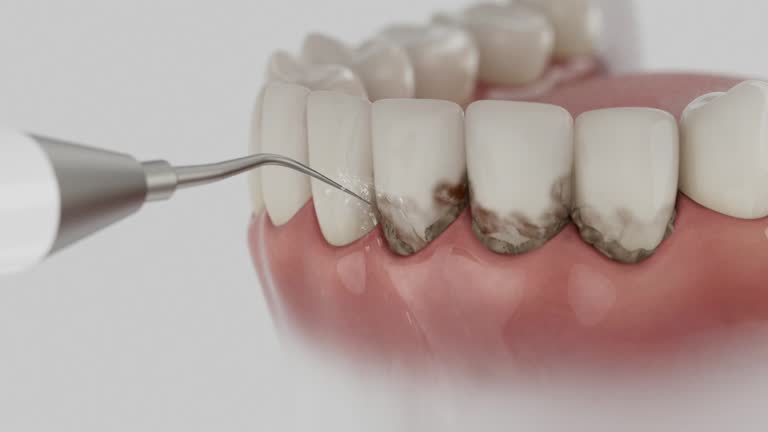 Reliable Dental contractor in Eagle River, WI by Dentist Open Now